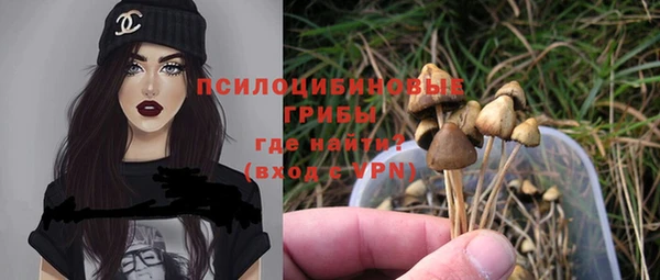 spice Баксан