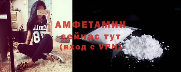 шишки Балахна