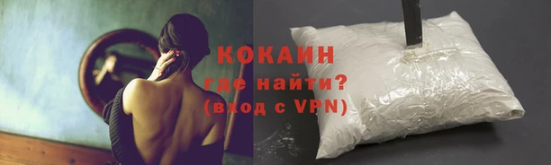 шишки Балахна