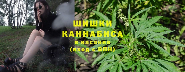 шишки Балахна