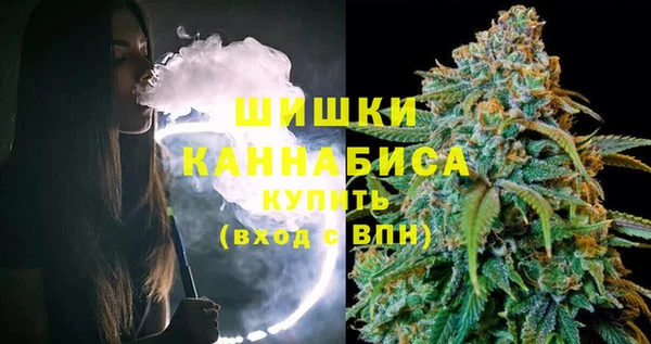 шишки Балахна