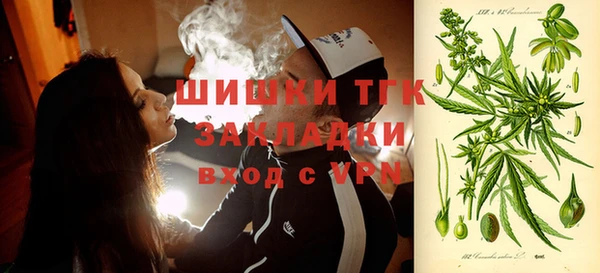 шишки Балахна