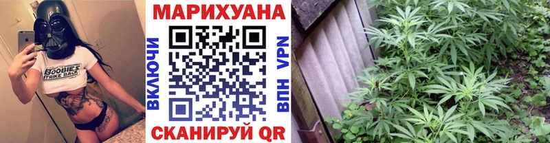купить наркотик  Кохма  Конопля сатива 